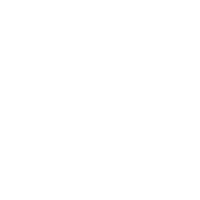 GLS Icon